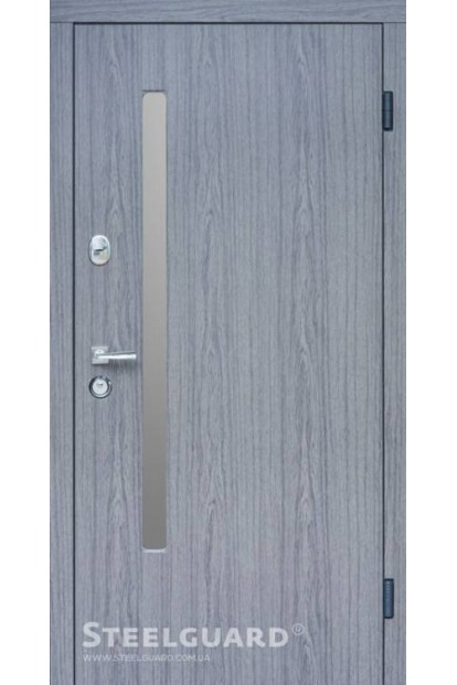 Двері AV-1 Grey Glass Steelguard Двері AV-1 Grey Glass Steelguard