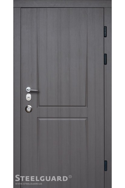 Двері Olymp 2 цвета Steelguard Двері Olymp 2 цвета Steelguard