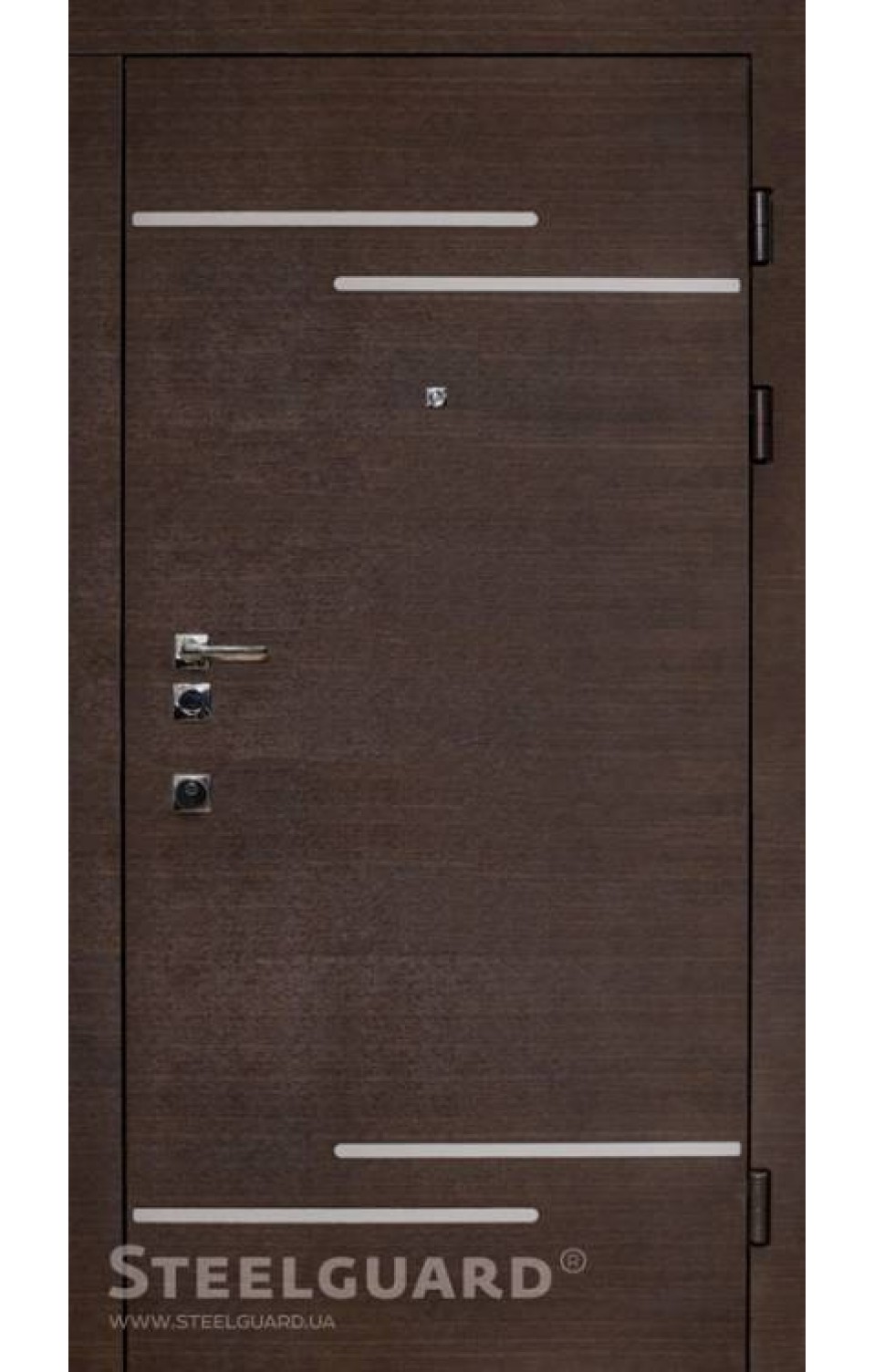 Двері Rizor Steelguard