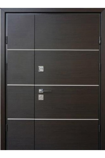 Двері Party D 1200 Страж