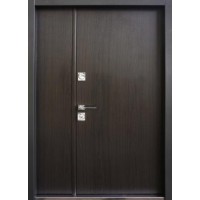Двері Party D 1200 Страж